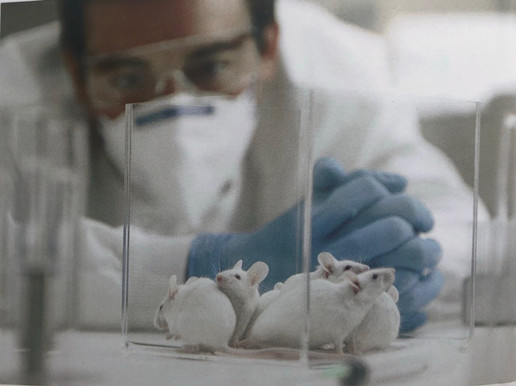 凈化車間裝修醫(yī)院凈化工程資質(zhì)怎么申請?